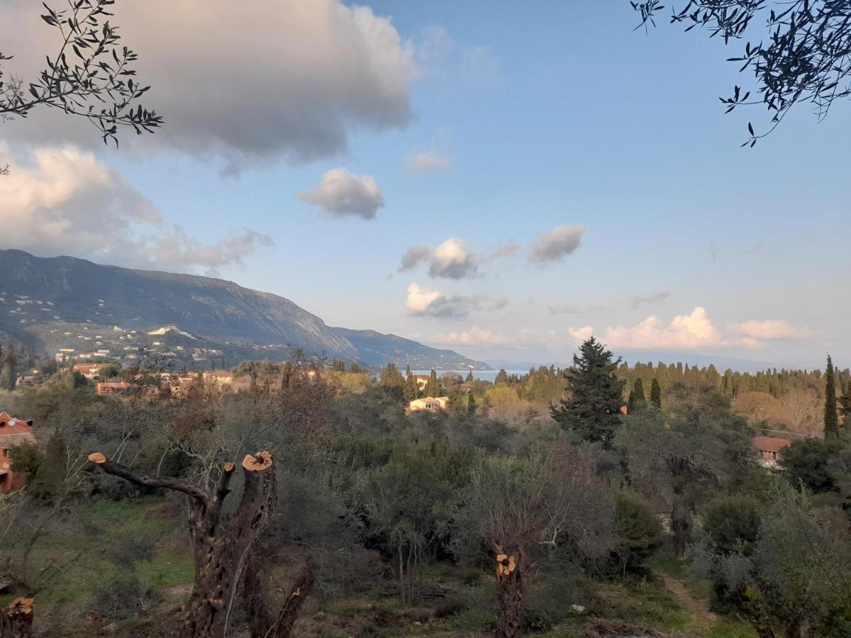 Aristea Studios Kato Korakiana Luaran gambar