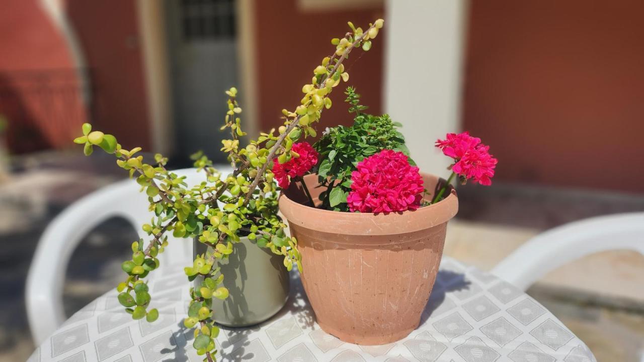 Aristea Studios Kato Korakiana Luaran gambar