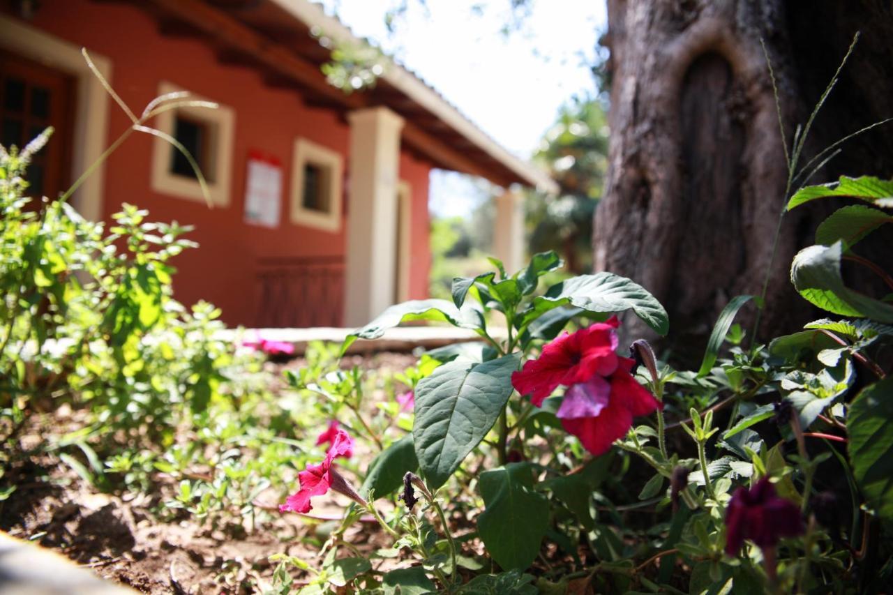 Aristea Studios Kato Korakiana Luaran gambar